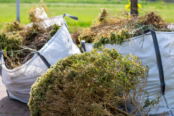 Best Furniture Removal Near Me  in Eagan, MN